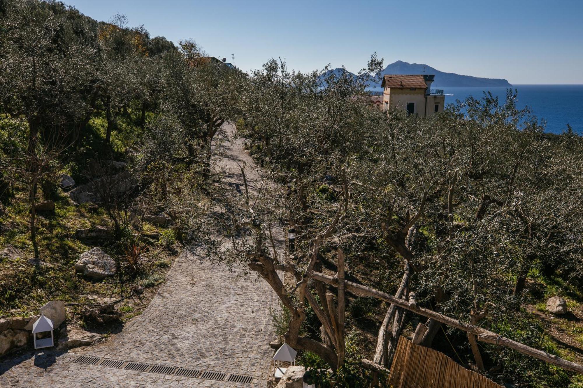 Hotel Melrose Relais Massa Lubrense Esterno foto
